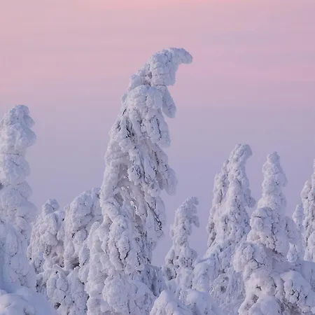 אכסניה The Fell