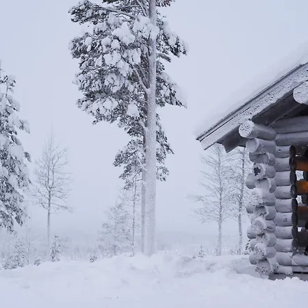 The Fell אכסניה לוי