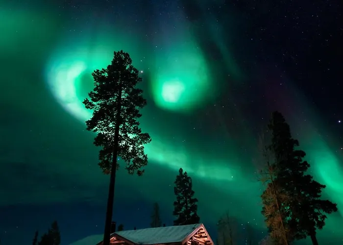 The Fell Domek letniskowy